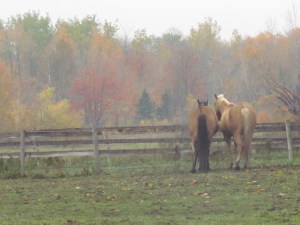 Check out the scenery at Warder Ranch