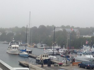 Visit Tobermory Harbour and its shops and restaurants